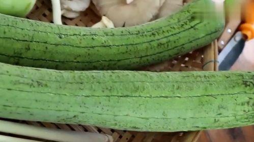 美女吃生瓜视频,美女勇敢尝试生瓜美味