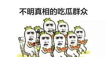 吃瓜群众感人视频素材无水印