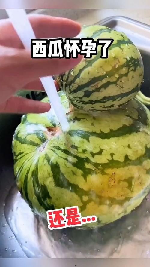 吃瓜视频有趣的,揭秘那些年我们一起追的“瓜”