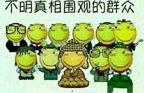 小猪解说吃瓜群众视频,揭秘吃瓜群众的趣味世界