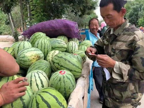金昌大爷吃瓜视频大全,趣味横生的民间生活剪影