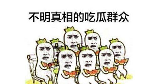 视频吃瓜群众001,网络红人的崛起之路