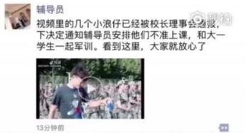 吃瓜视频后续发展,揭秘娱乐圈幕后风云，后续发展引人入胜