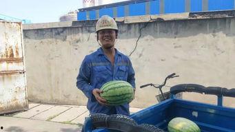 吃瓜群众摔倒护栏视频,视频记录全过程
